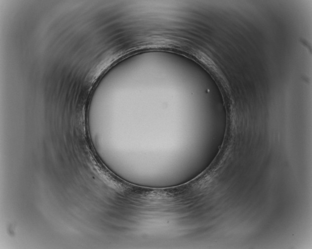 X0000100490842200806271235