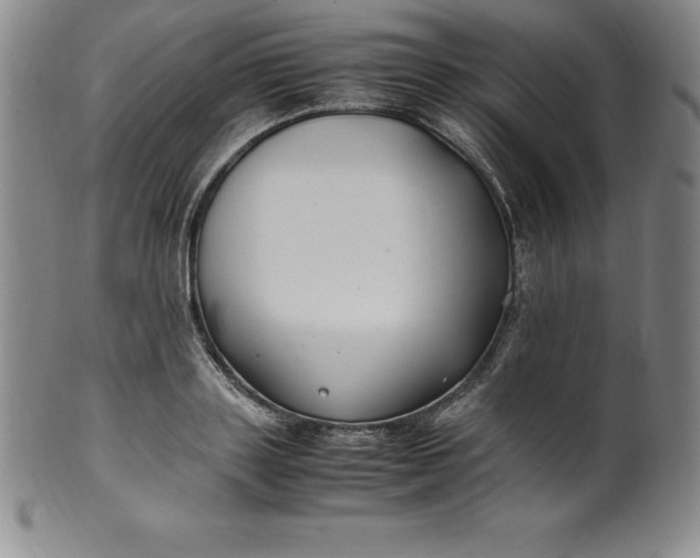 X0000100490843200806271235