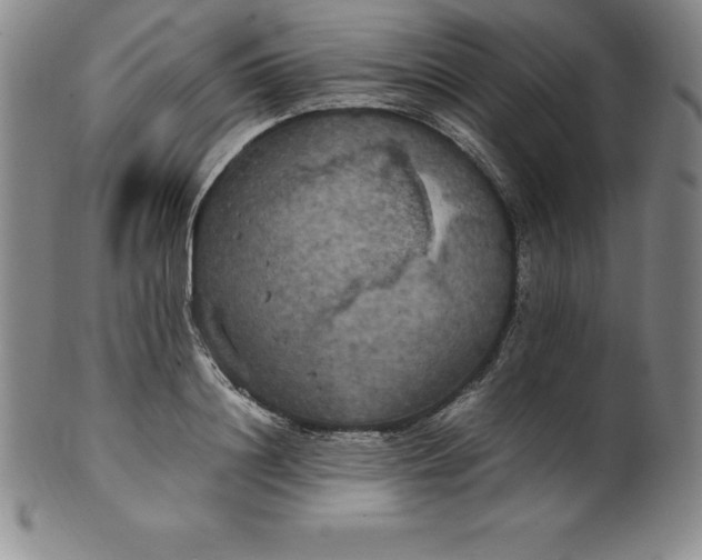 X0000100490844200806271235