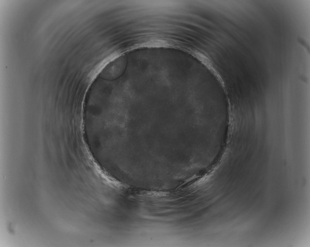 X0000100490845200806271235