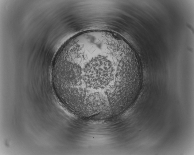 X0000100490846200806271235