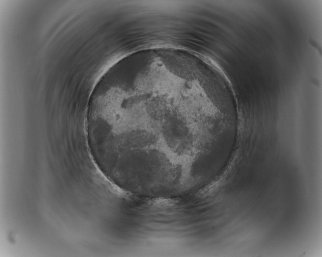 X0000100490847200806271235