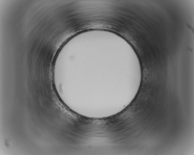 X0000100490848200806271235