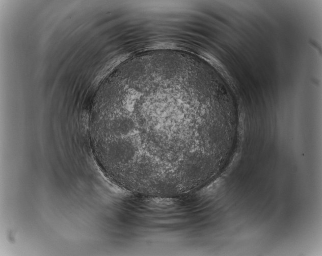 X0000100490849200806271235