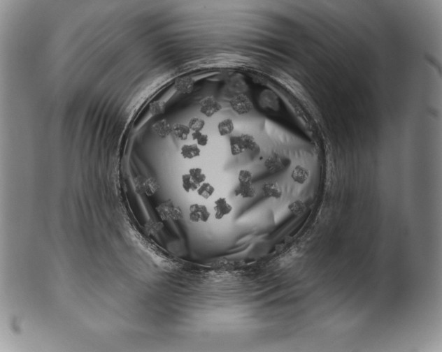 X0000100490850200806271235