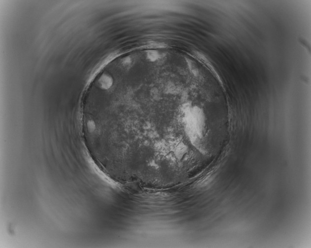 X0000100490851200806271235