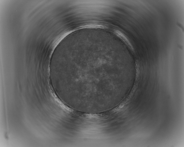 X0000100490852200806271235