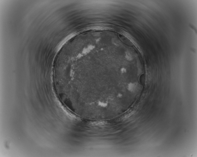 X0000100490853200806271235