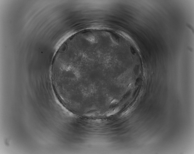 X0000100490855200806271235