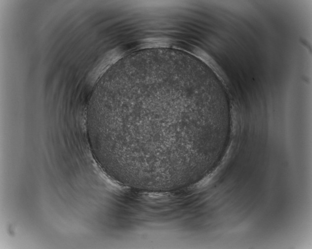 X0000100490857200806271235