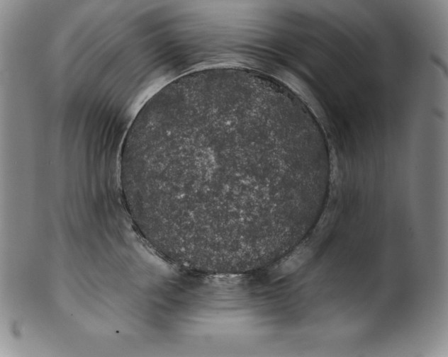 X0000100490858200806271235