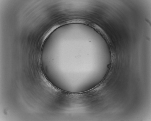 X0000100490860200806271235