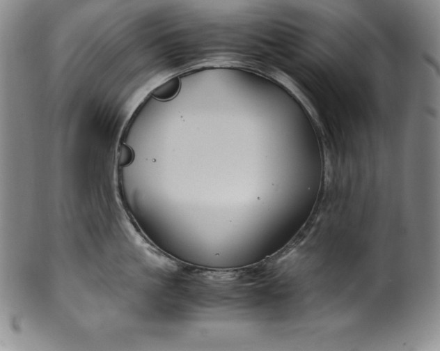 X0000100490861200806271235