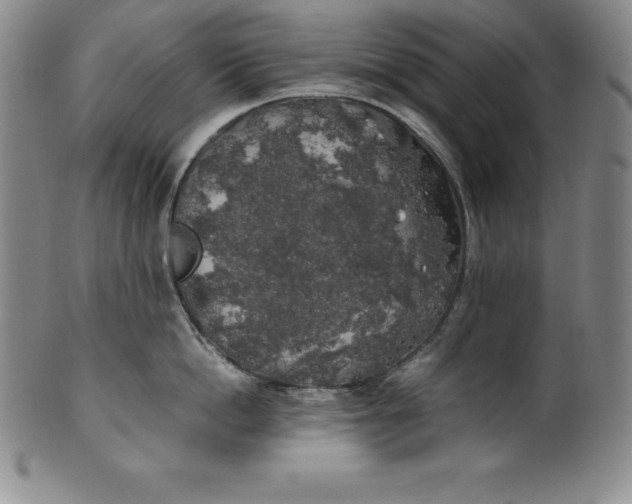 X0000100490862200806271235