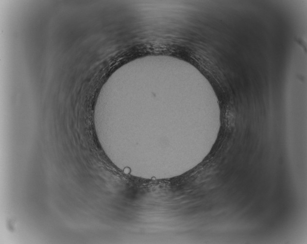 X0000100490865200806271234