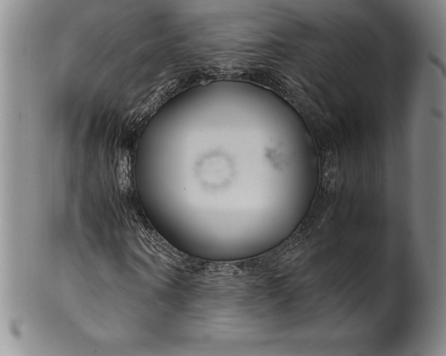 X0000100490866200806271234