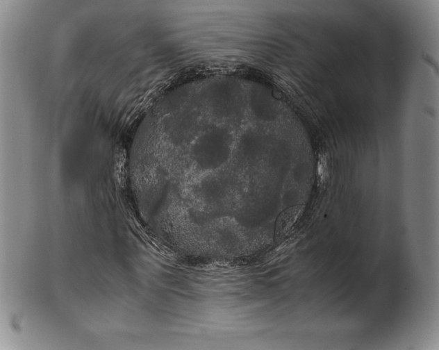 X0000100490867200806271234