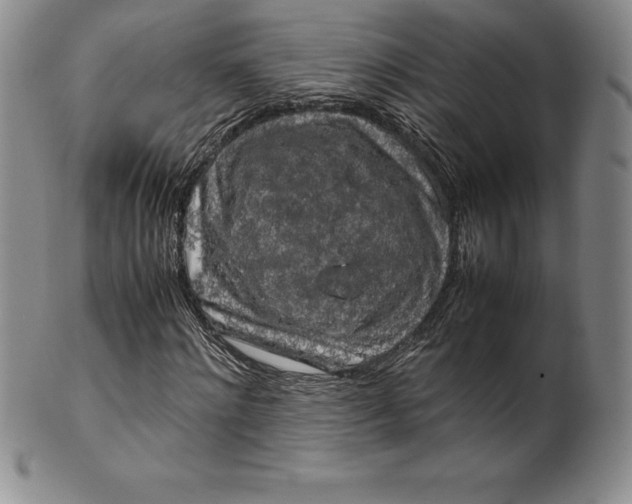 X0000100490868200806271234