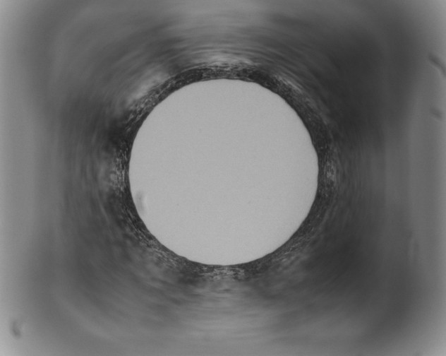 X0000100490869200806271234