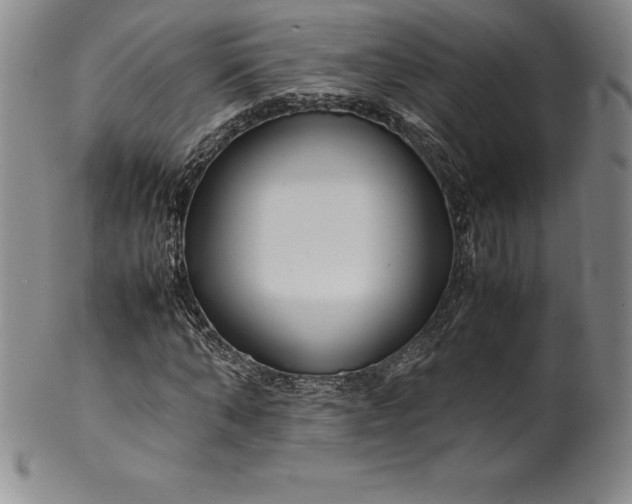 X0000100490870200806271234