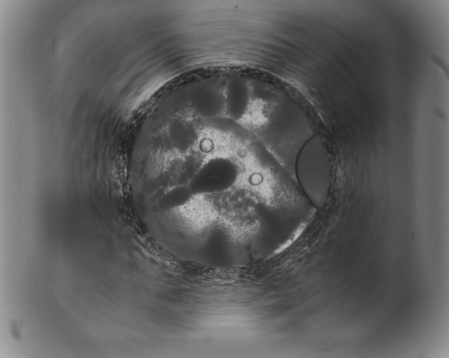 X0000100490871200806271234