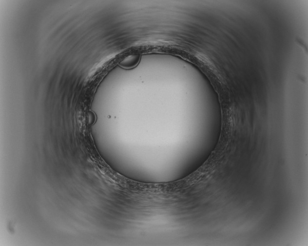 X0000100490872200806271234