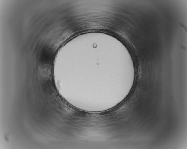 X0000100490873200806271234