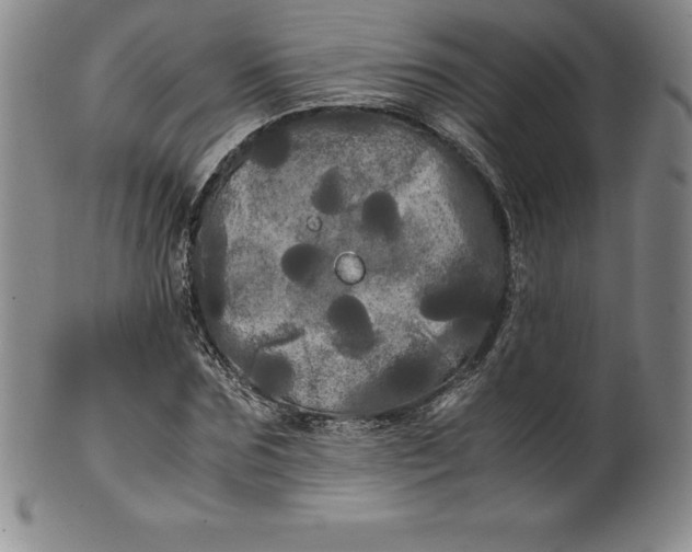 X0000100490875200806271234