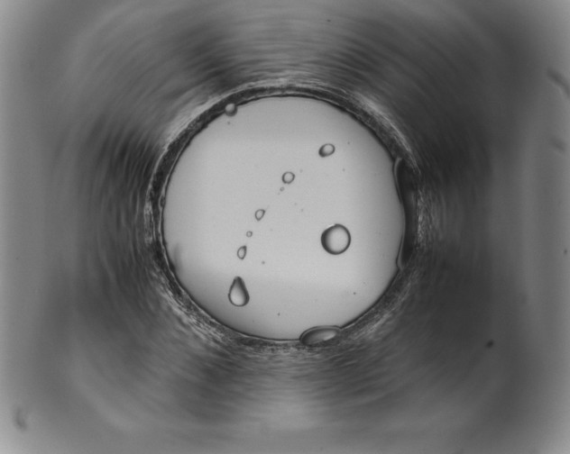 X0000100490876200806271234