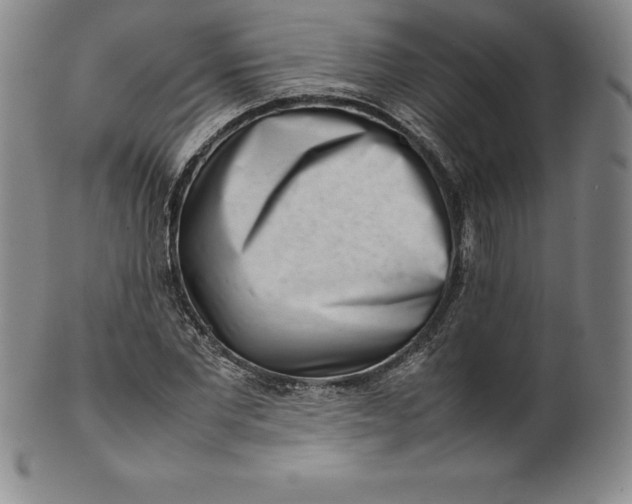 X0000100490877200806271234