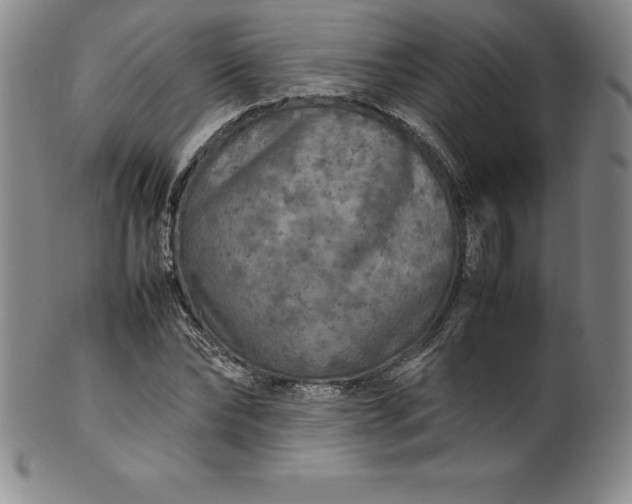 X0000100490878200806271234