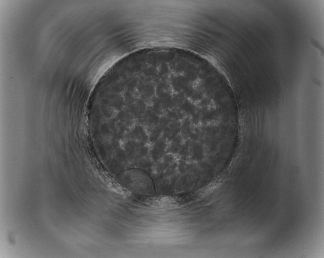 X0000100490879200806271234