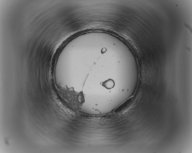 X0000100490880200806271234