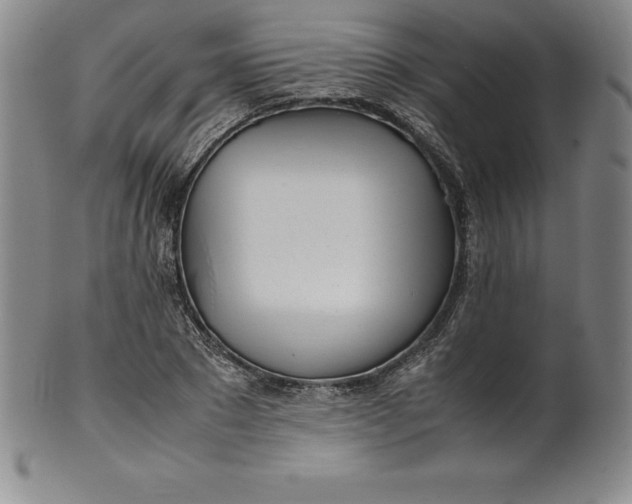 X0000100490881200806271234