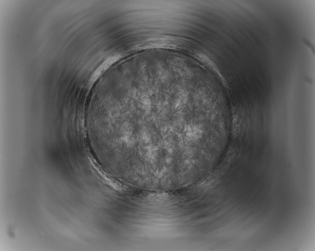 X0000100490882200806271234