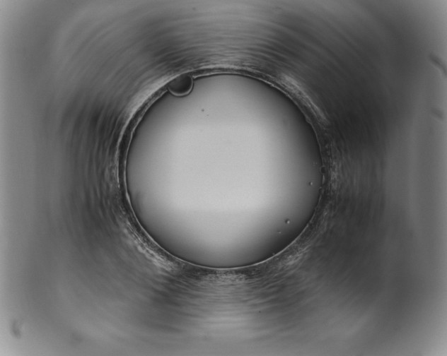 X0000100490884200806271234