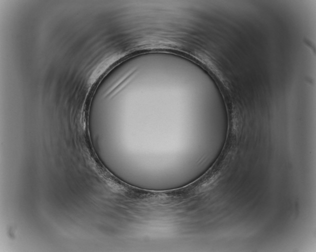 X0000100490885200806271234