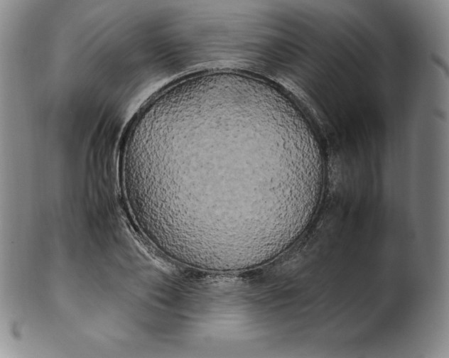 X0000100490886200806271234