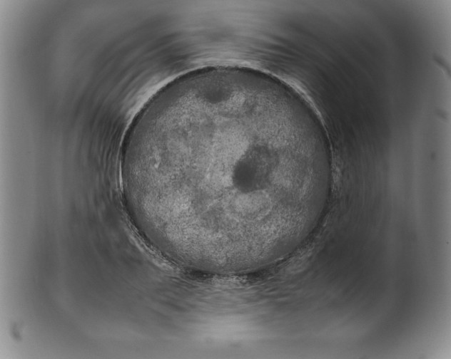 X0000100490887200806271234