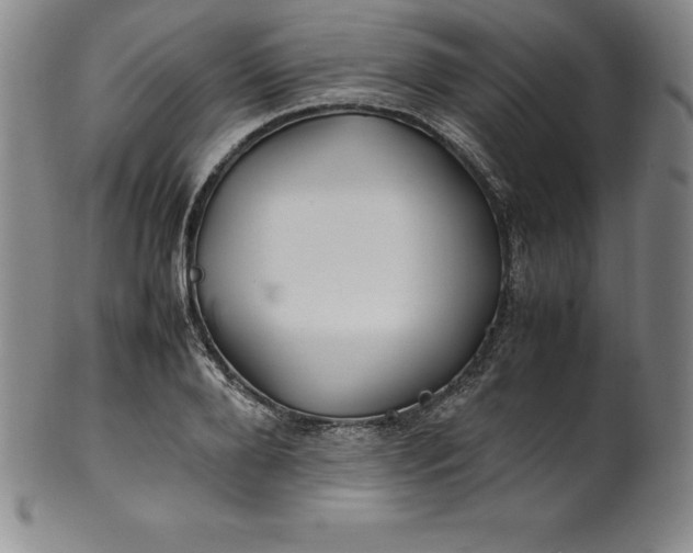 X0000100490888200806271234