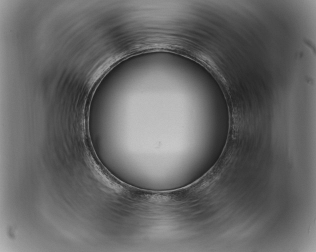 X0000100490890200806271234