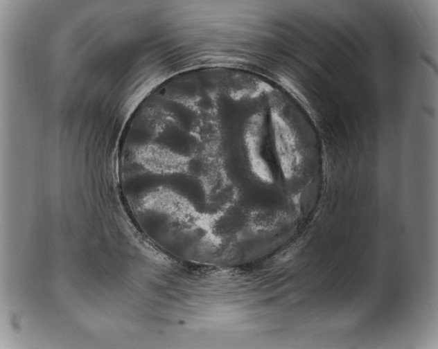 X0000100490891200806271234