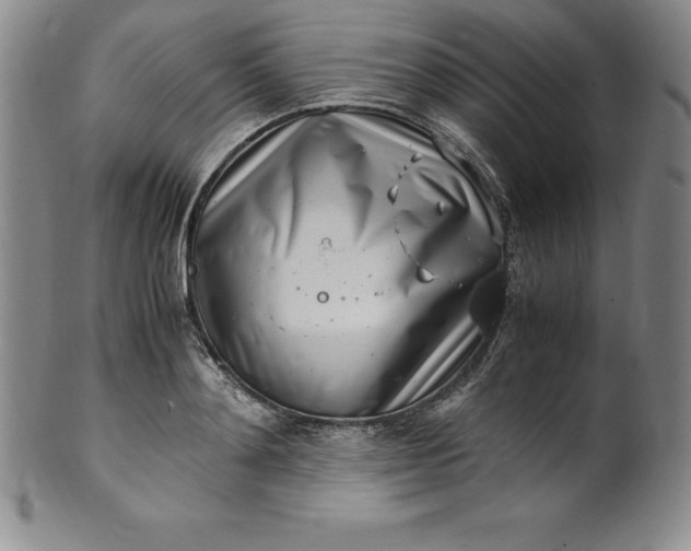 X0000100490892200806271234