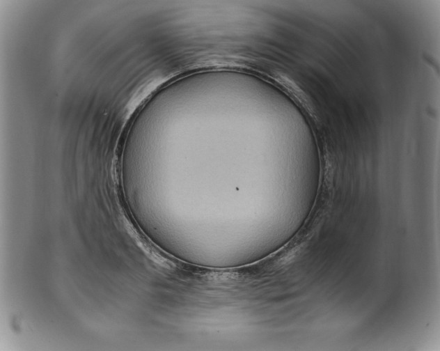 X0000100490893200806271234