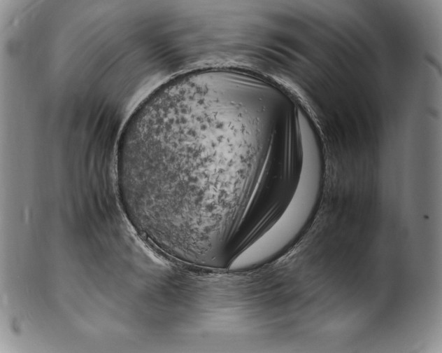 X0000100490894200806271234