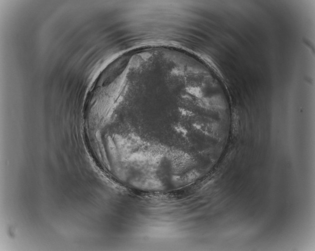 X0000100490895200806271234