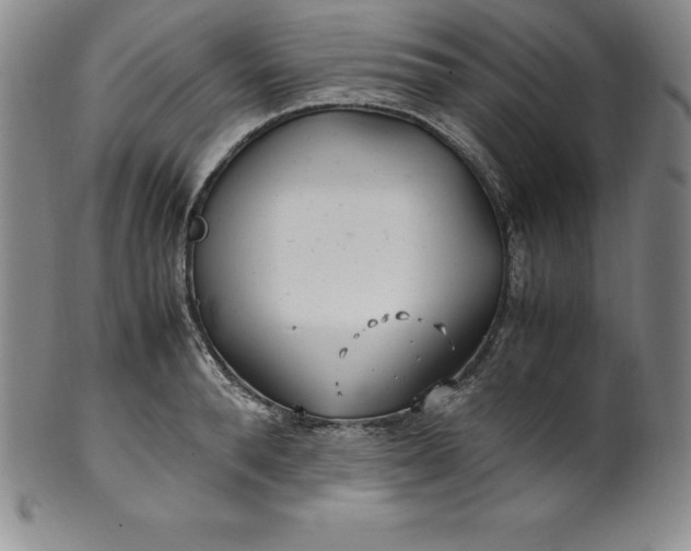 X0000100490896200806271234