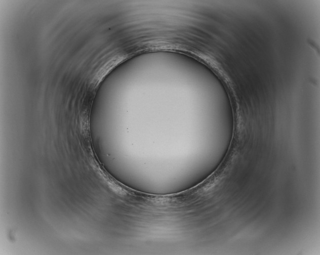 X0000100490897200806271234