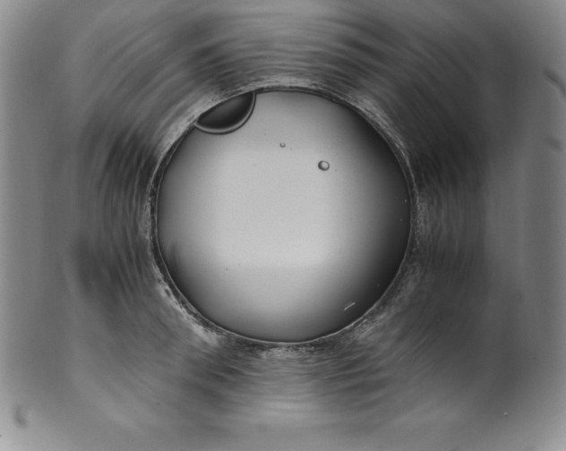 X0000100490898200806271234