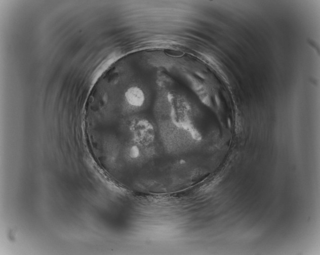 X0000100490899200806271234